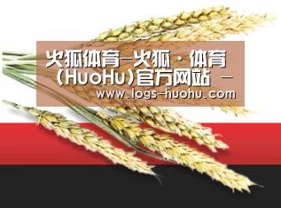 火狐体育-火狐·体育 (HuoHu)官方网站 -HuoHu SPORTS