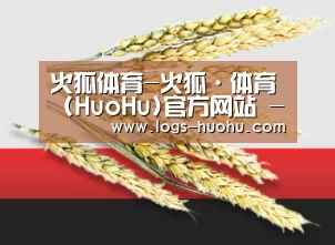 火狐体育-火狐·体育 (HuoHu)官方网站 -HuoHu SPORTS
