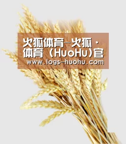 火狐体育-火狐·体育 (HuoHu)官方网站 -HuoHu SPORTS